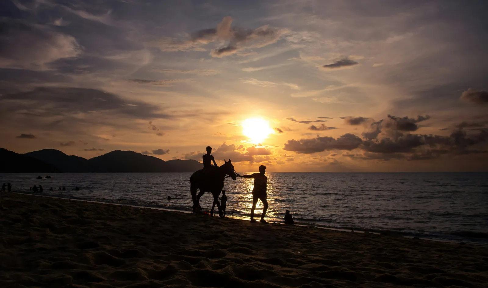Horses walking at the water’s edge at sunset