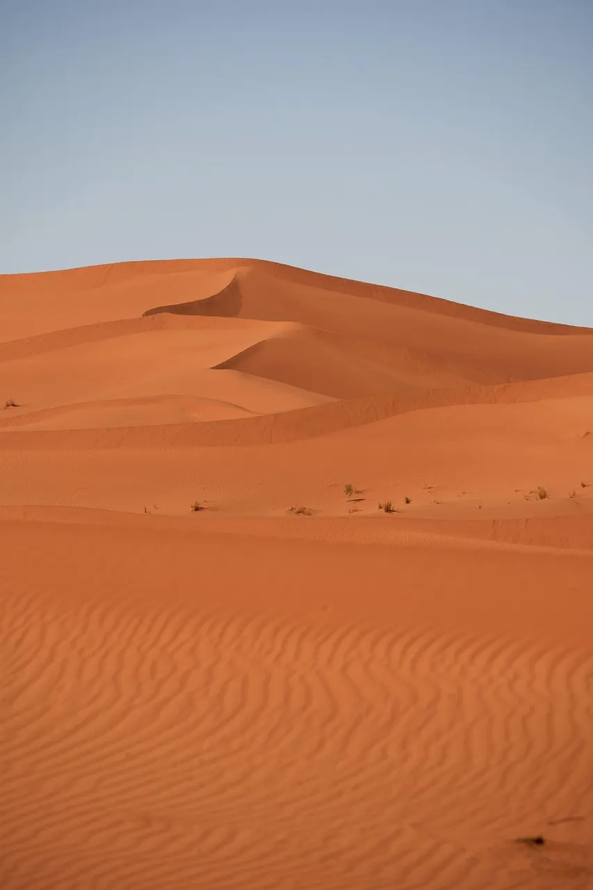 Horse Riding or Camel Riding in Essaouira? How to Choose