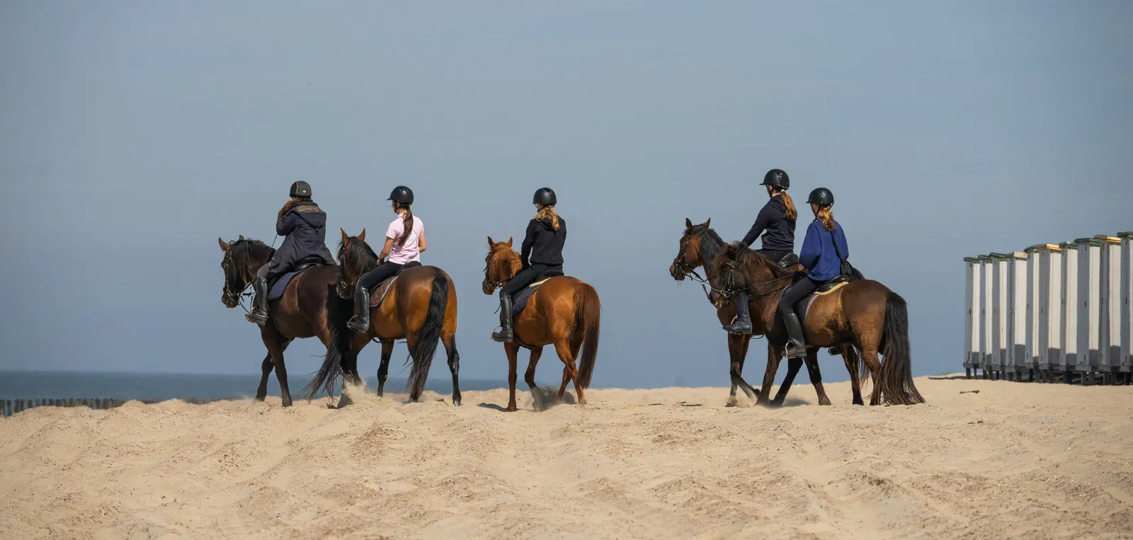 Family enjoying horse riding experience on Essaouira beach