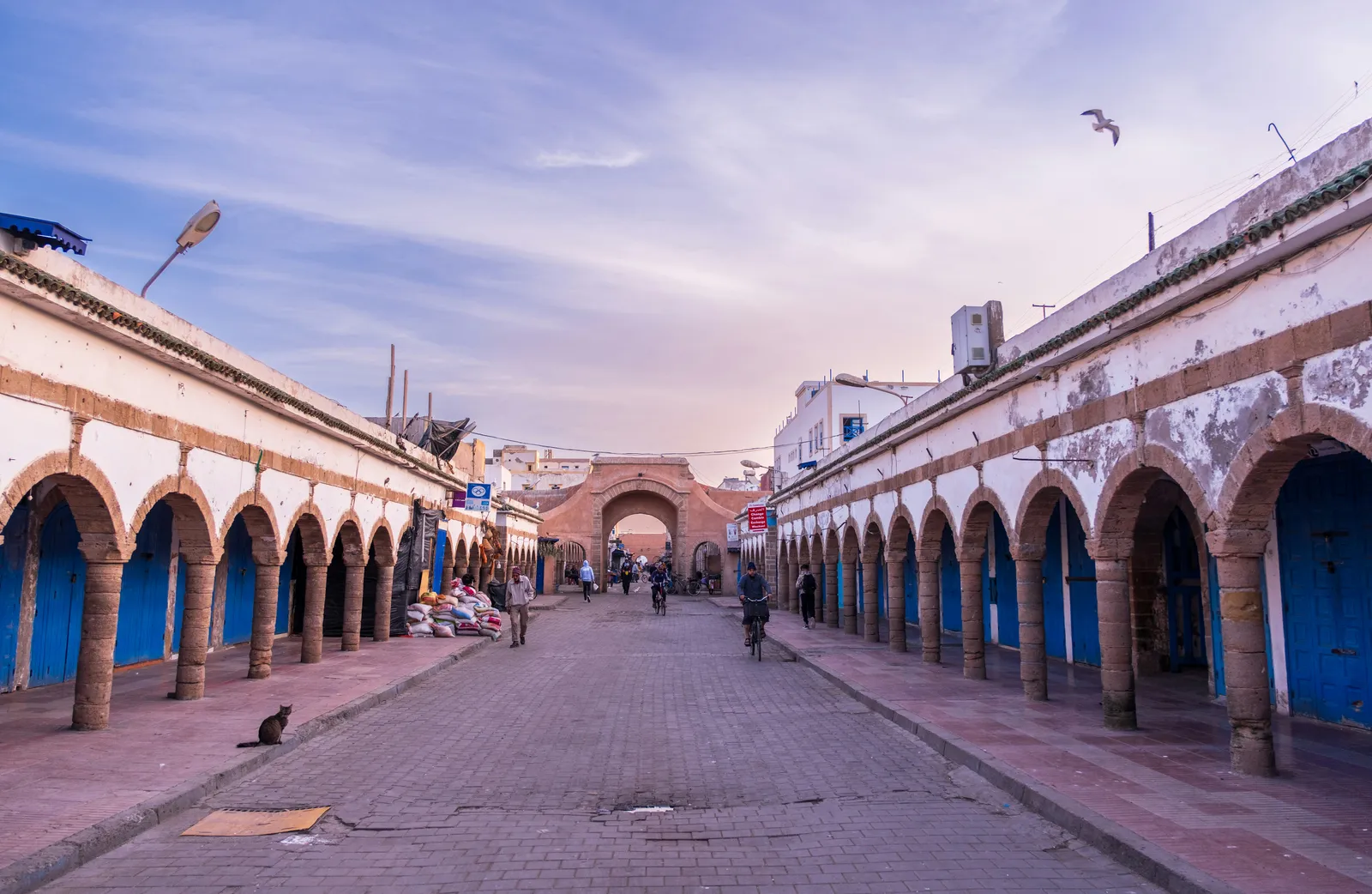 Village street and market in rural Morocco near Essaouira